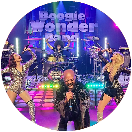 Boogie Wonder Band – Disco Honey 14 novembre 2026